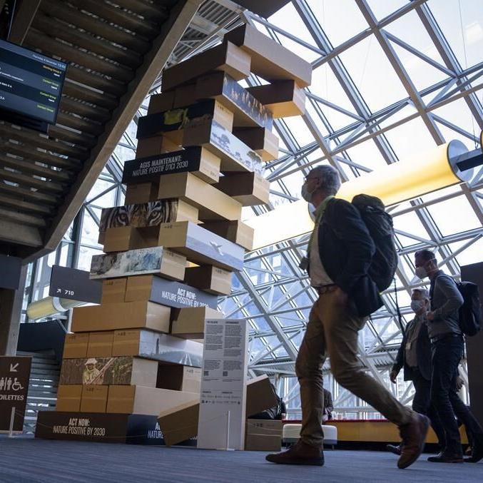 New UN project office focused on sustainable cities to open in Montreal